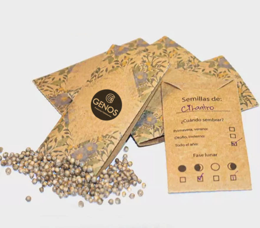 semillas regalo corporativo ecológico