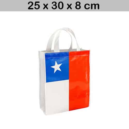 bolsa chilena 25 x 30 x 8 cm