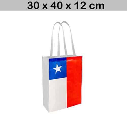 bolsas 30 x 40 x 12 cm chilena